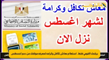 برقمك القومي فقط.. استعلام معاش تكافل وكرامة لمعرفة موقفك من دعم أغسطس